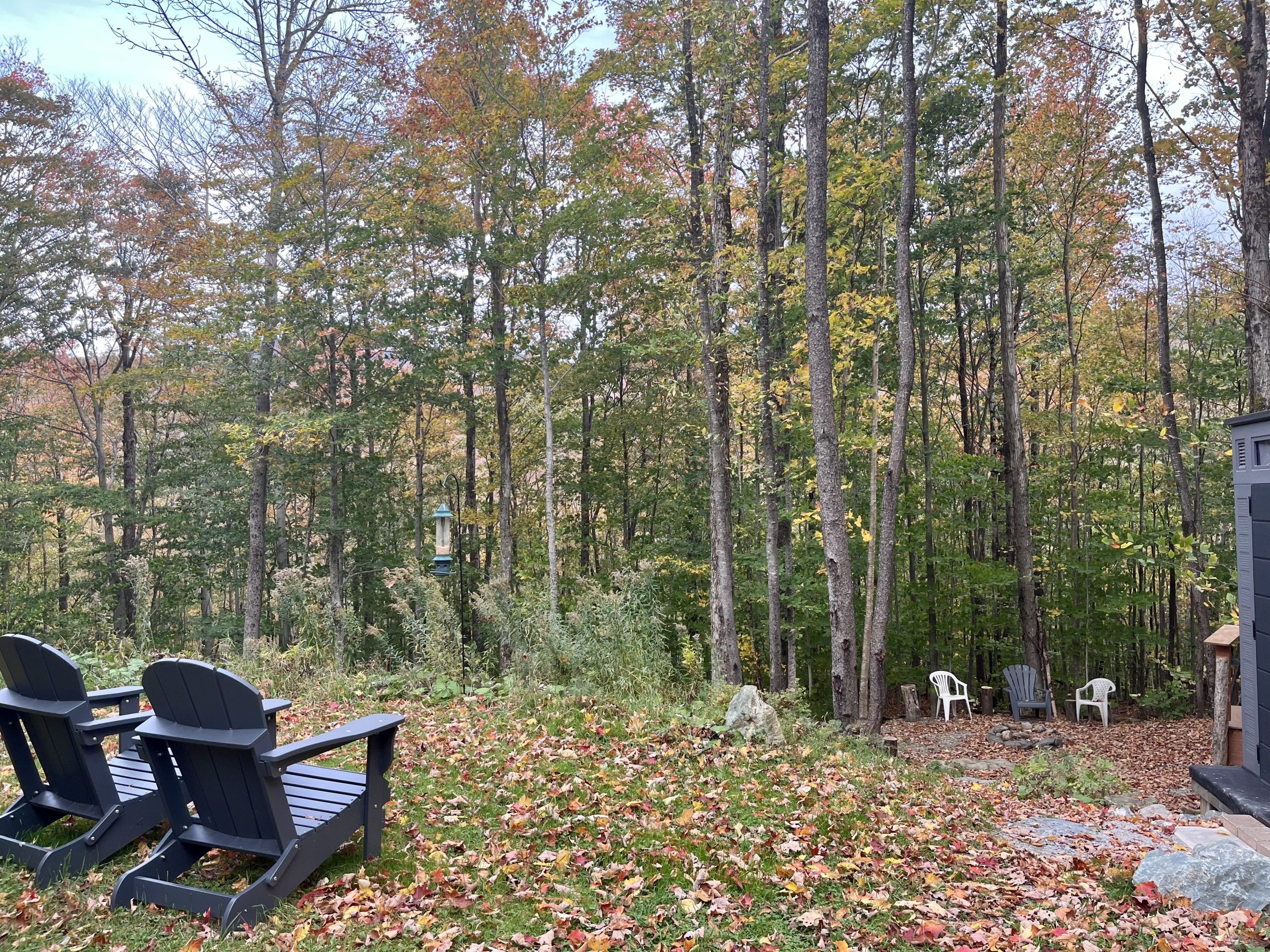 chalet 18 - vue automne